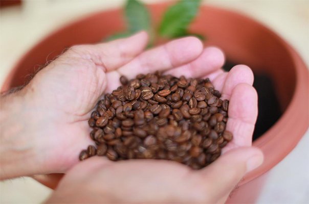 Selecionados Cuidadosamente